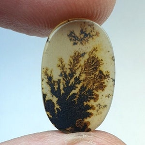 Riesige Größe !!! Dendritenachat Oval Cabochon, Lose Edelstein, Dendritenachat für die Herstellung von Schmuck Pendent Größe 17X11 MM