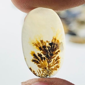 Wunderschöner Designer Dendriten Achat !!! NATÜRLICHER Dendritenachat Cabochon, loser Edelstein, 17x10 mm Dendritenachat für die Herstellung von Schmuck Pendent.