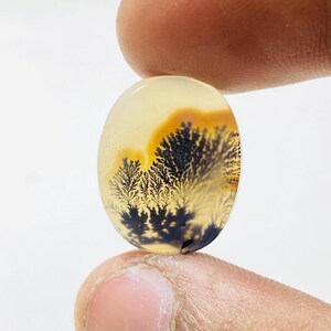 Riesige Größe !!! Dendritenachat Birne Cabochon, Lose Edelstein, Dendritenachat für die Herstellung von Schmuck Pendent Größe 17 x 14 MM