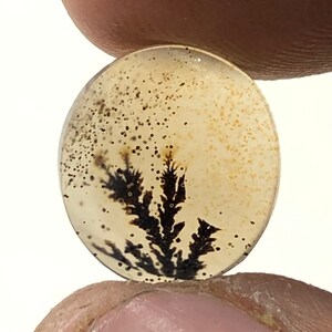 Erstaunlicher Design Achat !!! NATÜRLICHER Dendritischer Achat Oval Cabochon, loser Edelstein, Dendritischer Achat für die Herstellung von Schmuck Pendent.