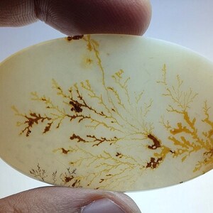 Riesige Größe !!! Dendritische Achat Oval Cabochon, lose Edelstein, dendritische Achat für die Herstellung von Schmuck Pendent Größe 57 x 34 MM