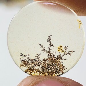 Wunderschöner Designer Dendriten Achat !!! NATÜRLICHER Dendritenachat Cabochon, loser Edelstein, 17X17 mm Dendritenachat für die Herstellung von Schmuck Pendent.