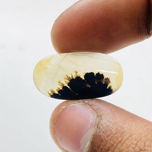 Riesige Größe !!! Dendritenachat Birne Cabochon, Lose Edelstein, Dendritenachat für die Herstellung von Schmuck Pendent Größe 22 x 12 MM