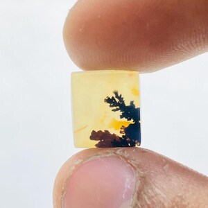 Riesige Größe !!! Dendritenachat Birne Cabochon, Lose Edelstein, Dendritenachat für die Herstellung von Schmuck Pendent Größe 10 x 11 MM