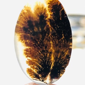 Wunderschöner Designer Dendriten Achat !!! NATÜRLICHER Dendritischer Achat Cabochon, loser Edelstein, 13 x 27 mm Dendritischer Achat zur Herstellung von Schmuckanhängern.