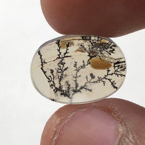 Erstaunlicher Design Achat !!! NATÜRLICHER Dendritischer Achat Oval Cabochon, loser Edelstein, Dendritischer Achat für die Herstellung von Schmuck Pendent.