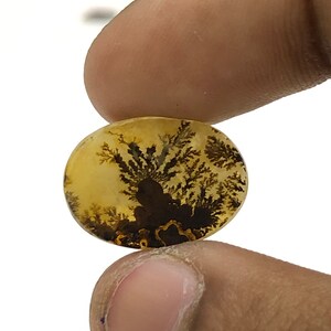 100% Natürlich Landschaftlich Achat !!! Baumachat, Dendritenquarz, Dendritenachat, Malerischer Achat-Edelstein, Dendritenachatstein, Größe 22 x 13 MM