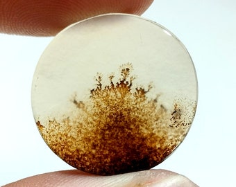 Ágata escénica 100% natural!!! Ágata arbórea, cuarzo dendrítico, ágata dendrítica, gema de ágata escénica, piedra de ágata dendrítica, tamaño 21 x 20 mm