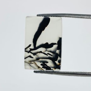 Riesige Größe !!! Dendritenachat Cabochon, Lose Edelstein, Dendritenachat für die Herstellung von Schmuck Pendent Größe 17 x 11 MM