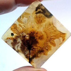 Fantastisch ontwerp dendritische agaat cabochon, losse edelsteen, dendritische agaat voor het maken van hangende sieraden Afmeting: 43 x 42 mm