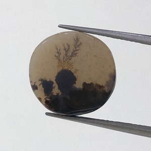 Natürlicher Achat !!! Dendritenachat Cabochon, lose Edelstein, dendritischen Achat für die Herstellung von Schmuck Pendent