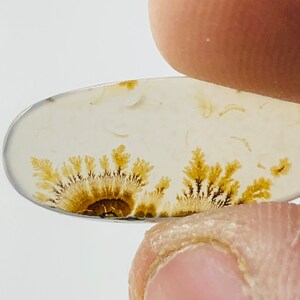 Wunderschöner Designer Dendriten Achat !!! NATÜRLICHER Dendritenachat Cabochon, loser Edelstein, 7x19 mm Dendritenachat für die Herstellung von Schmuck Pendent.