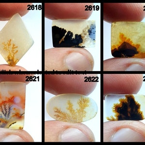 Fantastisch ontwerp dendritische agaat cabochon, losse edelsteen, dendritische agaat voor het maken van hangende sieraden