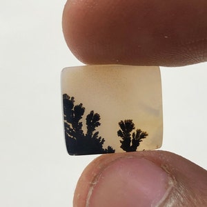 Erstaunlicher Design Achat !!! NATÜRLICHER Dendritischer Achat Oval Cabochon, loser Edelstein, Dendritischer Achat für die Herstellung von Schmuck Pendent.