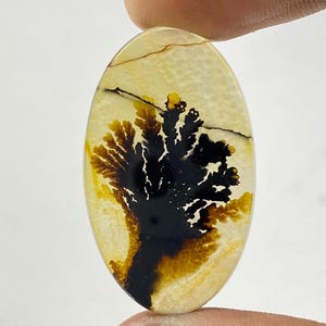 Riesige Größe !!! Dendritenachat Cabochon, lose Edelstein, dendritischen Achat für die Herstellung von Schmuck Pendent Größe 34x20 MM