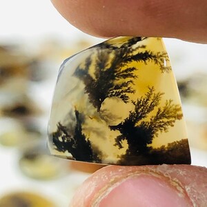 Wunderschöner Designer Dendriten Achat !!! NATÜRLICHER Dendritischer Achat Cabochon, loser Edelstein, 16X16 MM Dendritischer Achat für die Herstellung von Schmuck Pendent.