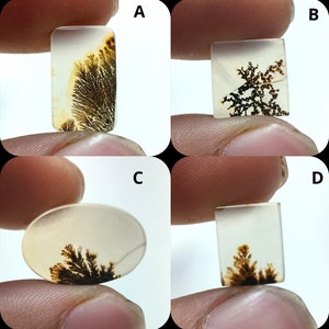 Natürlicher Dendritenachat, Dendritischer Cabochon, Achat-Lose Edelstein, Malerischer Dendritischer Achat, Heilende Eigenschaften, Farbe, Kraftstein