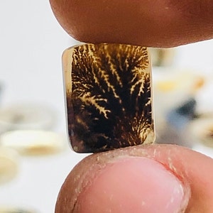 Natürlicher Achat !!! Dendritenachat Birne Cabochon, Lose Edelstein, Dendritenachat 12X10 Größe für die Herstellung von Schmuck Pendent