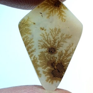 Riesige Größe 20 x 13 MM !!! Dendritenachat Birne Cabochon, lose Edelstein, dendritischen Achat für die Herstellung von Schmuck Pendent