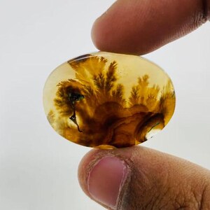 Riesige Größe !!! Dendritenachat Cabochon, Lose Edelstein, Dendritenachat für die Herstellung von Schmuck Pendent Größe 30 x 22 MM