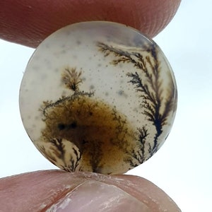 Wunderschöner Designer Dendriten Achat !!! NATÜRLICHER Dendritenachat Cabochon, loser Edelstein, 15 x 11 mm Dendritenachat für die Herstellung von Schmuck Pendent.