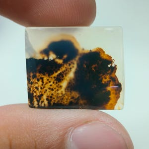 Piedra de diseño. Cabujón de ágata dendrítica de fantasía, piedra preciosa suelta, ágata dendrítica para joyería. Tamaño: 21 x 18 mm.