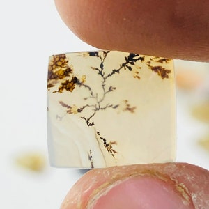 Wunderschöner Designer Dendriten Achat !!! NATÜRLICHER Dendritischer Achat Cabochon, loser Edelstein, 10X11 MM Dendritischer Achat für die Herstellung von Schmuck Pendent.
