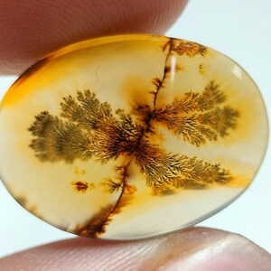 100% Natürlich Landschaftlich Achat !!! Baumachat, Dendritenquarz, Dendritenachat, Malerischer Achat-Edelstein, Dendritenachatstein, Größe 22 x 16 MM