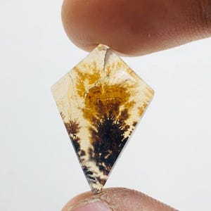 Riesige Größe !!! Dendritenachat-Birne Cabochon, lose Edelstein, dendritische Achat für die Herstellung von Schmuck Pendent Größe 22 x 15 mm