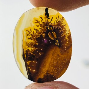 Wunderschöner Designer Dendriten Achat !!! NATÜRLICHER Dendritenachat Cabochon, loser Edelstein, 19x15 mm Dendritenachat für die Herstellung von Schmuck Pendent.