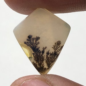 Erstaunlicher Design Achat !!! NATÜRLICHER Dendritischer Achat Oval Cabochon, loser Edelstein, Dendritischer Achat für die Herstellung von Schmuck Pendent.