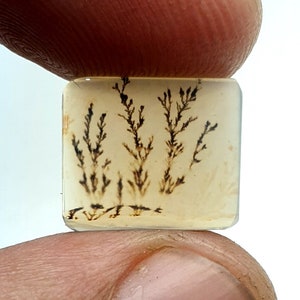 Schön Dendritenachat Quadrat Cabochon, Lose Edelstein, Dendritenachat für die Herstellung von Schmuck Pendent Größe 13 x 11 MM