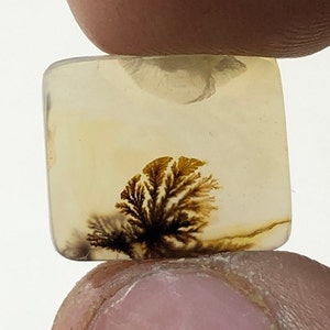Erstaunlicher Design Achat !!! NATÜRLICHER Dendritischer Achat Oval Cabochon, loser Edelstein, Dendritischer Achat für die Herstellung von Schmuck Pendent.
