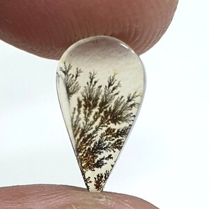 Straordinaria agata dendritica di design!!! Cabochon in agata dendritica NATURALE, pietra preziosa sfusa, agata dendritica per realizzare pendenti per gioielli.