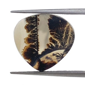 Erstaunlicher Design Achat !!! NATÜRLICHER Dendritischer Achat Oval Cabochon, loser Edelstein, Dendritischer Achat für die Herstellung von Schmuck Pendent.