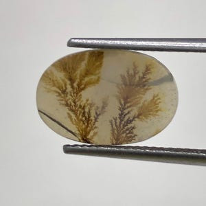 100% Natürlich Landschaftlich Achat !!! Baumachat, Dendritenquarz, Dendritenachat, Malerischer Achat-Edelstein, Dendritenachatstein, Größe 14 x 9 MM