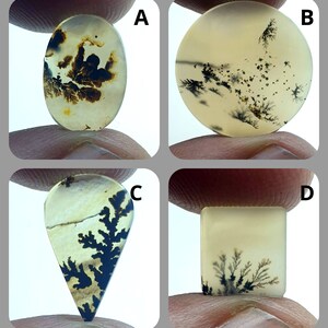 NATÜRLICHER Dendritenachat Cabochon, loser Edelstein, Dendritenachat für die Herstellung von Schmuck Pendent Größe.