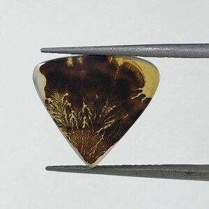 Natürlicher Achat !!! Dendritenachat Birne Cabochon, lose Edelstein, dendritischen Achat für die Herstellung von Schmuck Pendent