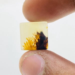 Riesige Größe !!! Dendritenachat-Birne Cabochon, lose Edelstein, dendritische Achat für die Herstellung von Schmuck Pendent Größe 12 x 12 mm