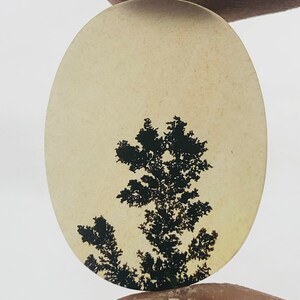 Wunderschöner Designer Dendriten Achat !!!  NATÜRLICHER Dendritischer Achat Cabochon, loser Edelstein, 23 x 18 mm Dendritischer Achat zur Herstellung von Schmuckanhängern.