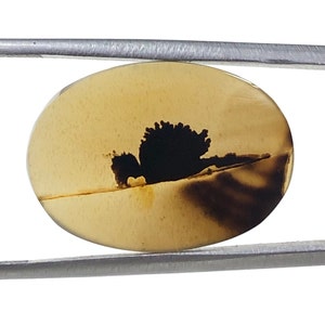 Erstaunlicher Design Achat !!! NATÜRLICHER Dendritischer Achat Oval Cabochon, loser Edelstein, Dendritischer Achat für die Herstellung von Schmuck Pendent.