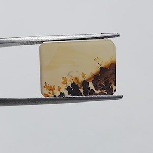 Designerstein !!! Dendritenachat Phantasie Cabochon, lose Edelstein, Dendritenachat für die Herstellung von Schmuck Pendent Größe 15 x 11 MM