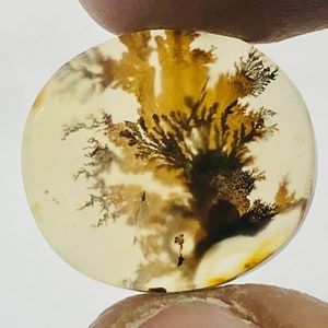 Wunderschöner Designer Dendriten Achat !!! NATÜRLICHER Dendritenachat Cabochon, loser Edelstein, 17x15 mm Dendritenachat für die Herstellung von Schmuck Pendent.