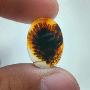 Designerstein !!! Dendritenachat-fantastischer Cabochon, loser Edelstein, dendritischer Achat für die Herstellung von Schmuck Penent Größe 19 x 14 MM