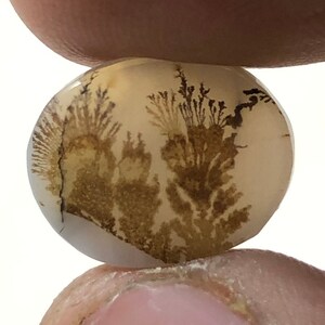 Erstaunlicher Design Achat !!! NATÜRLICHER Dendritischer Achat Oval Cabochon, loser Edelstein, Dendritischer Achat für die Herstellung von Schmuck Pendent.