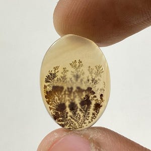 Riesige Größe !!! Dendritenachat Cabochon, Lose Edelstein, Dendritenachat für die Herstellung von Schmuck Pendent Größe 18X14 MM