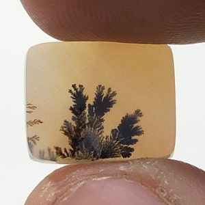 Erstaunlicher Design Achat !!! NATÜRLICHER Dendritischer Achat Oval Cabochon, loser Edelstein, Dendritischer Achat für die Herstellung von Schmuck Pendent.