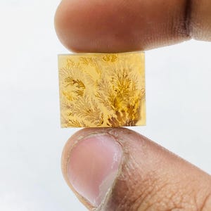 Riesige Größe !!! Dendritenachat-Birne Cabochon, lose Edelstein, dendritische Achat für die Herstellung von Schmuck Pendent Größe 16 x 14 mm