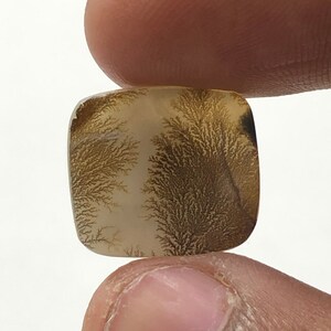 Erstaunlicher Design Achat !!! NATÜRLICHER Dendritischer Achat Oval Cabochon, loser Edelstein, Dendritischer Achat für die Herstellung von Schmuck Pendent.