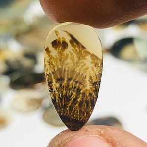 Wunderschöner Designer Dendriten Achat !!! NATÜRLICHER Dendritenachat Cabochon, loser Edelstein, 17x9 MM Dendritenachat für die Herstellung von Schmuck Pendent.